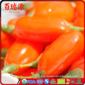 Ningxia wolfberry slimming food